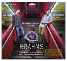 WYCOFANY  Brahms: Sonatas for clarinet and piano